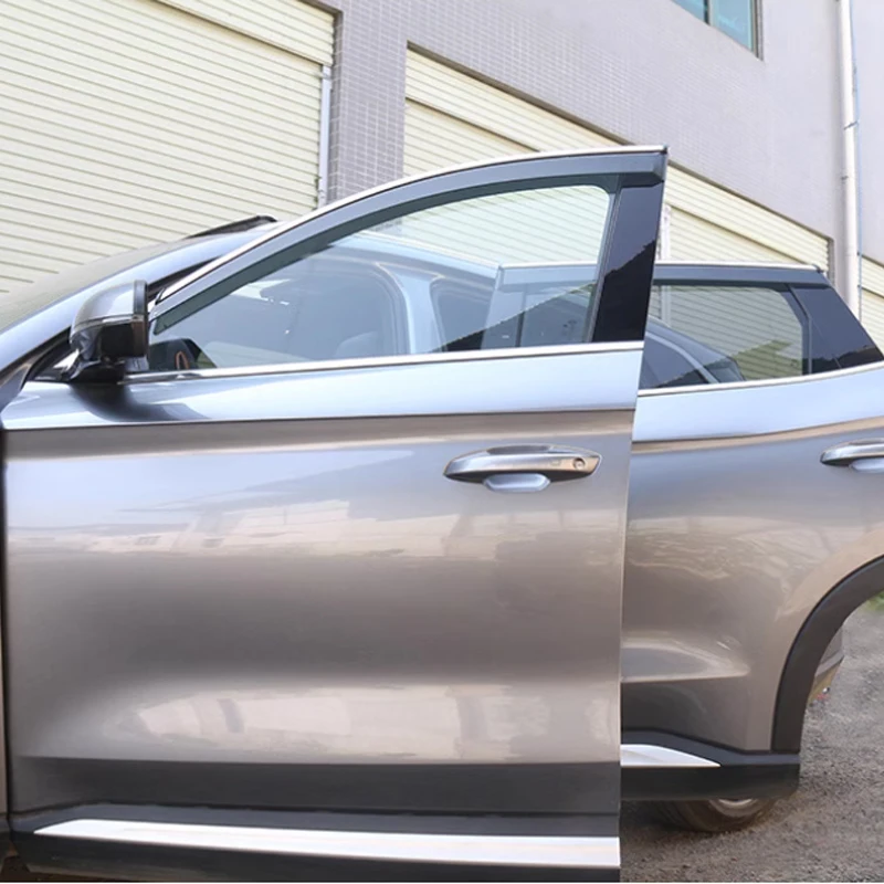 SeaLion 07 EV 2024 2025 2026 Carbon fiber Threshold Strip