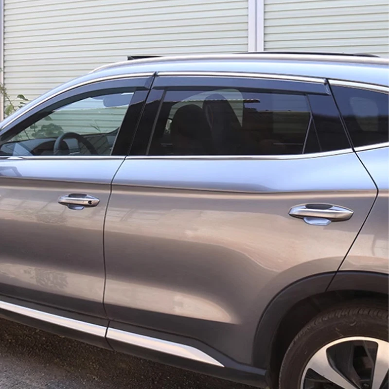 SeaLion 07 EV 2024 2025 2026 Carbon fiber Threshold Strip